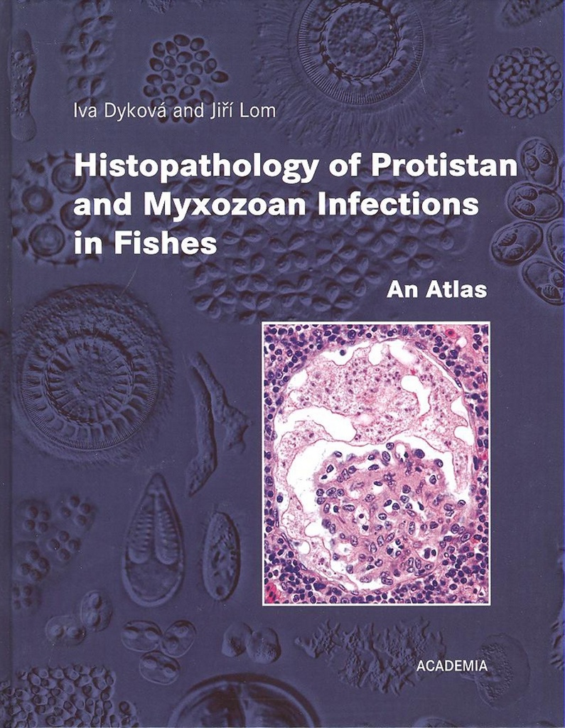Histopathology of protistan and myxosporean infections in fisches